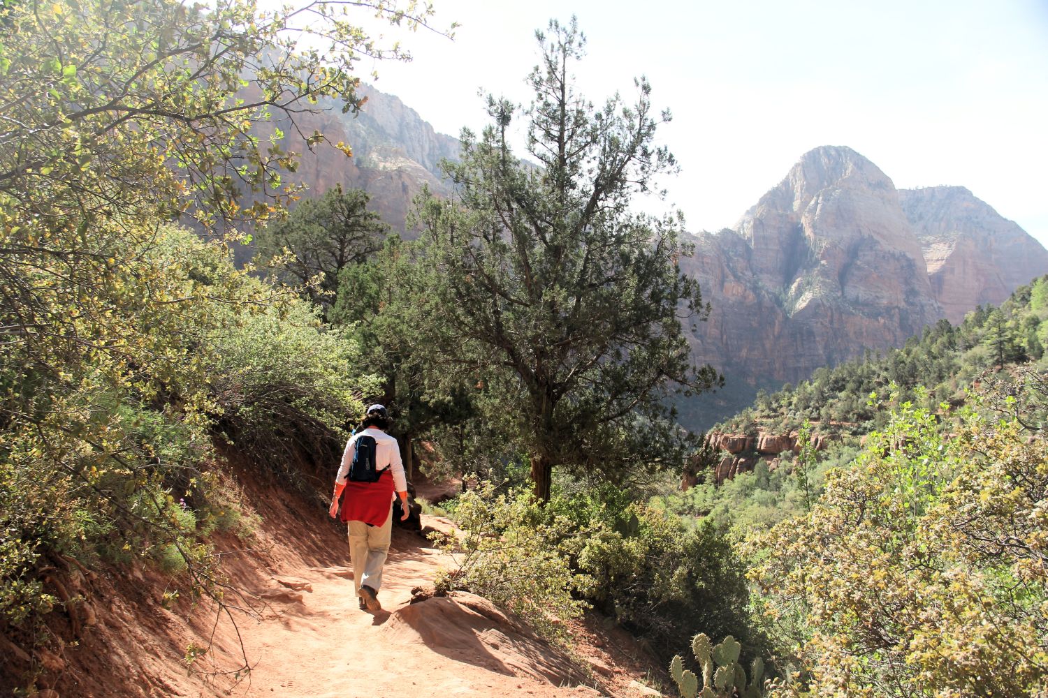 Lower & Upper Emerald & Kayenta Trails 